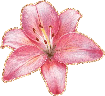 Flor de playa