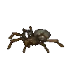 Araña Margaret