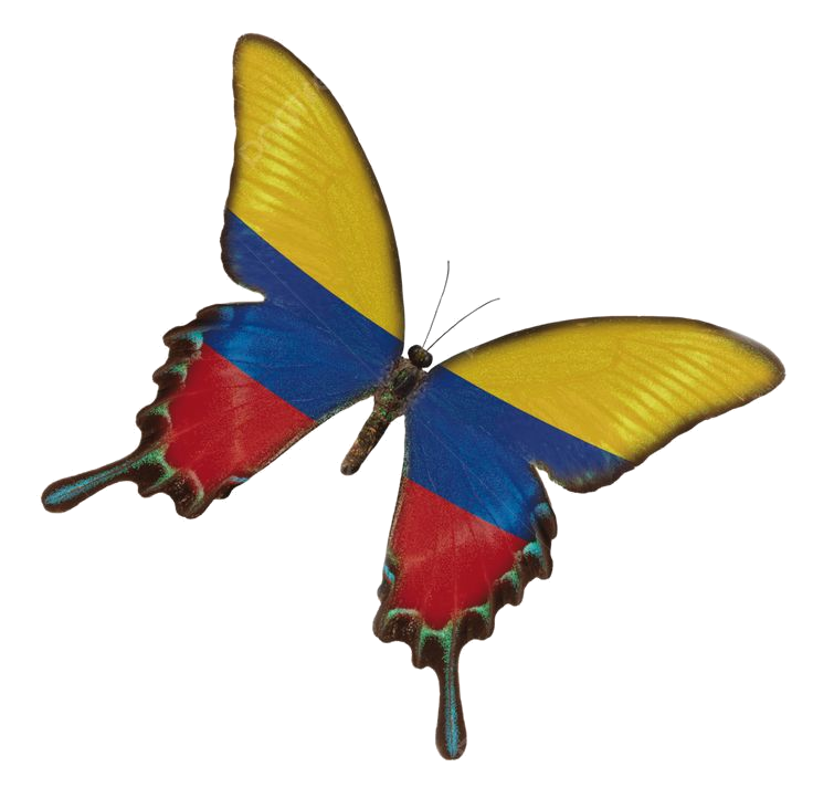 mariposa