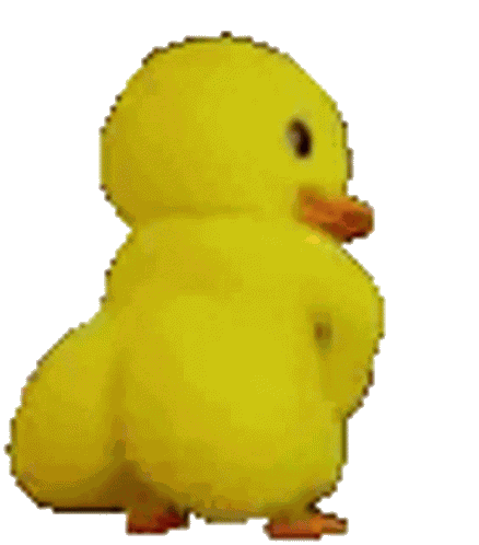 Pato twerkeando