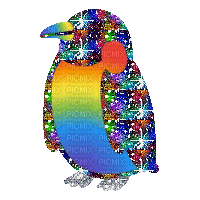 Pingüino colores