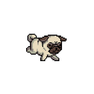Pug bailando