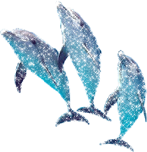 Tres Delfines